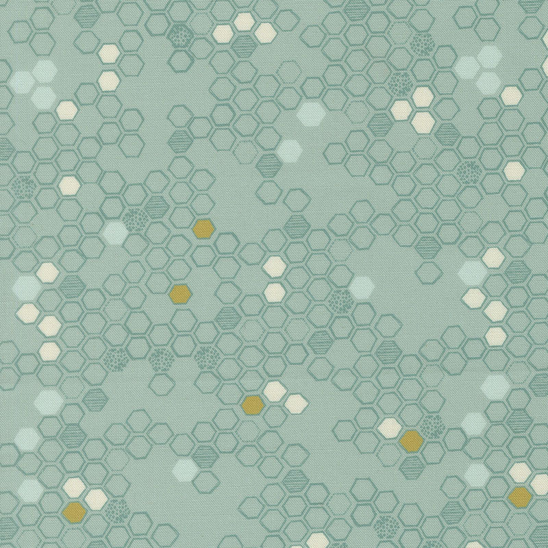 Pollinators By Robin Pickens For Moda - Digital Print - Stream