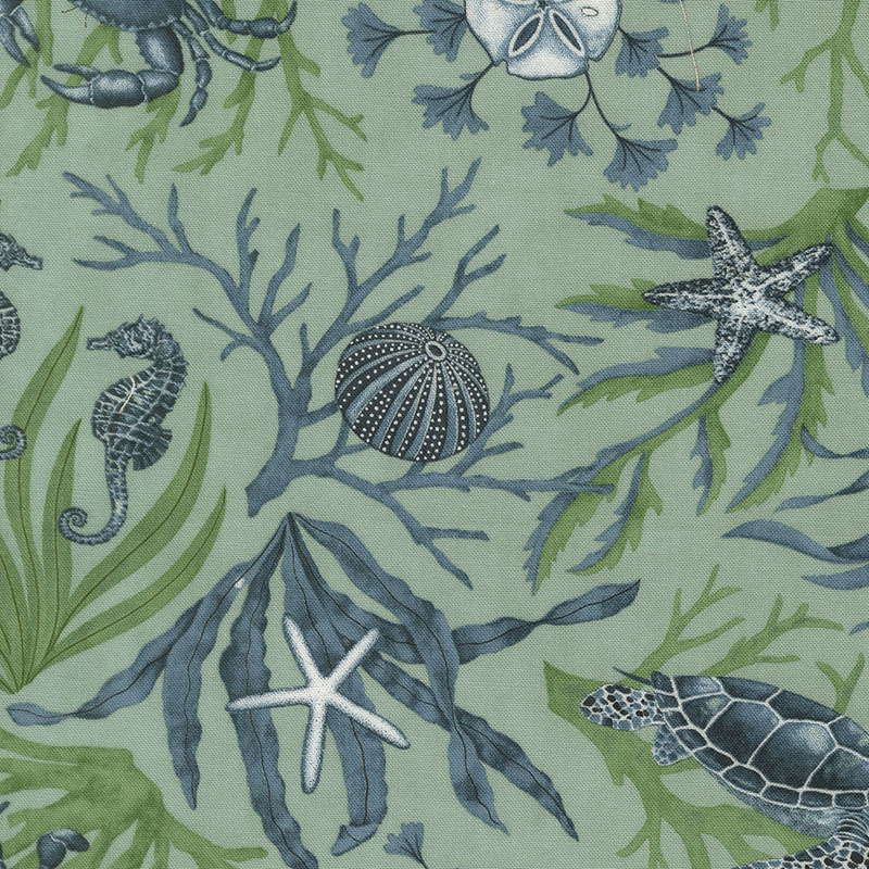 Seaside By Deb Strain For Moda - Aqua