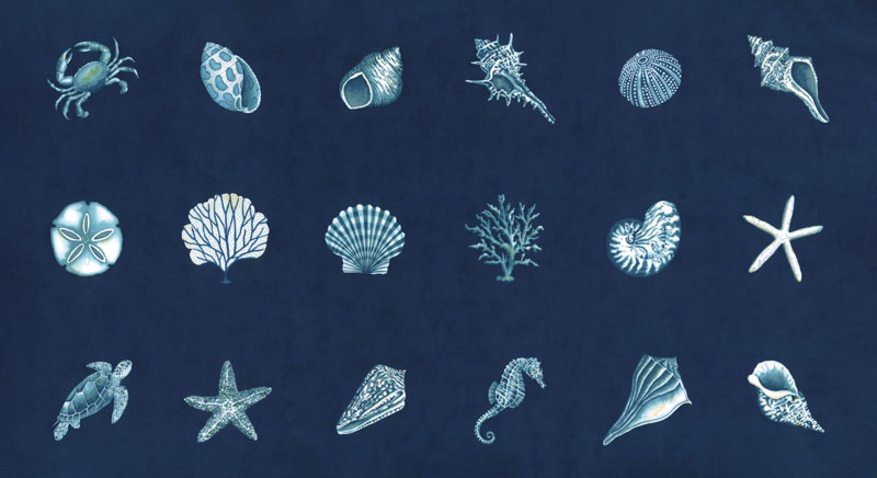 Seaside By Deb Strain For Moda - 24" X 45" Panel -Deep Sea