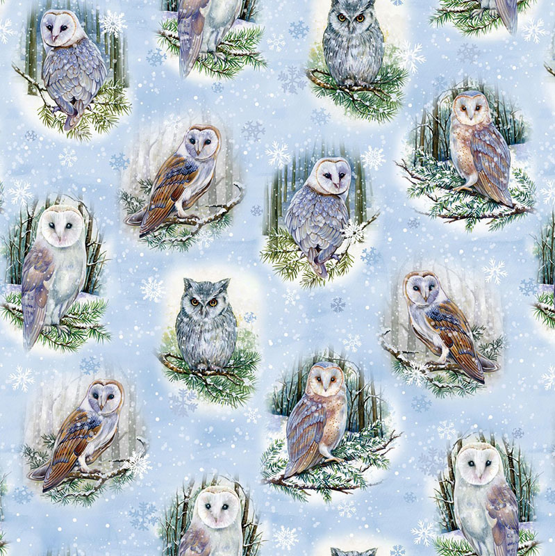 Wintery Pines By Kanvas Studio For Benartex - Wintery Owls Light Blue