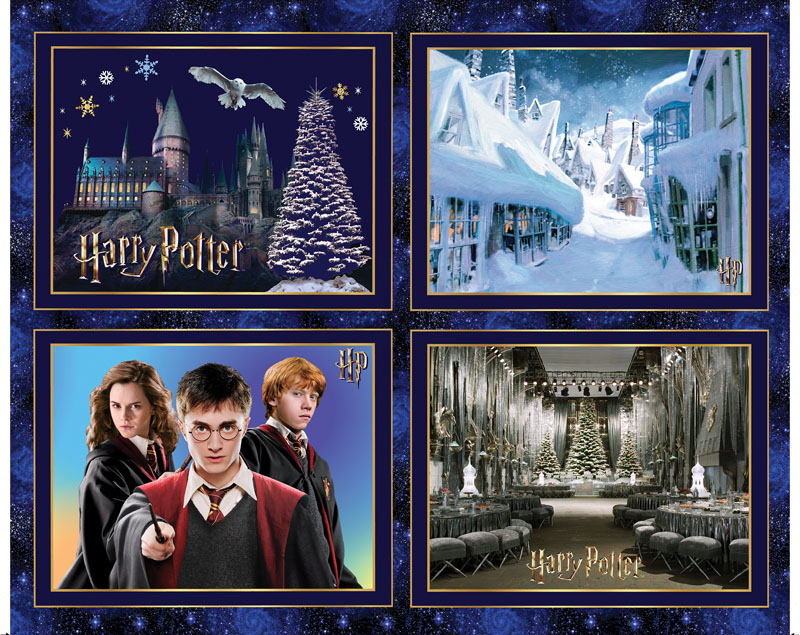 Harry Potter Winter By Warner Bros For Benartex - Magical Winter Panel Blue