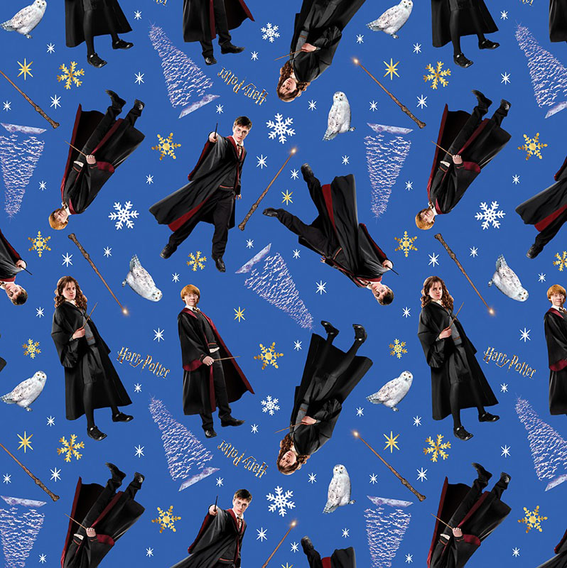 Harry Potter Winter By Warner Bros For Benartex - Hp Winter Wonders Blue