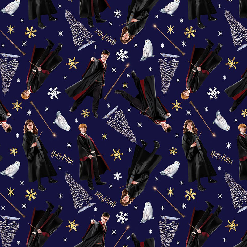 Harry Potter Winter By Warner Bros For Benartex - Hp Winter Wonders Navy