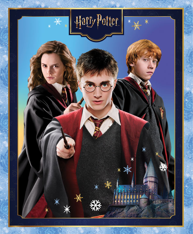 Harry Potter Winter By Warner Bros For Benartex - Winter Wizarding Panel Blue