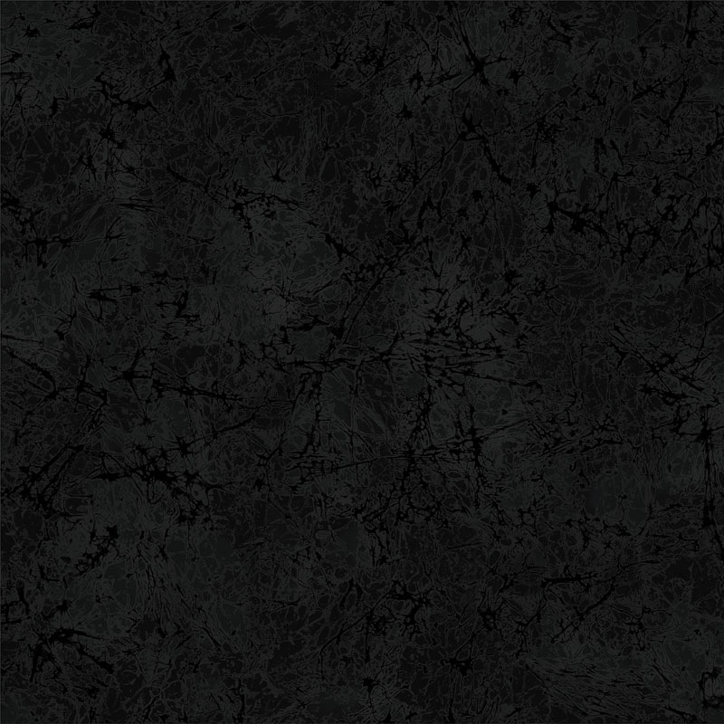 Sunshadow By Paula Nadelstern For Benartex - Black