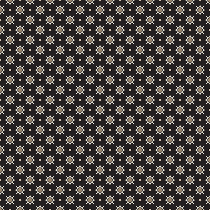 Shadow And Stone By Contempo Studio For Benartex - Stars Ebony