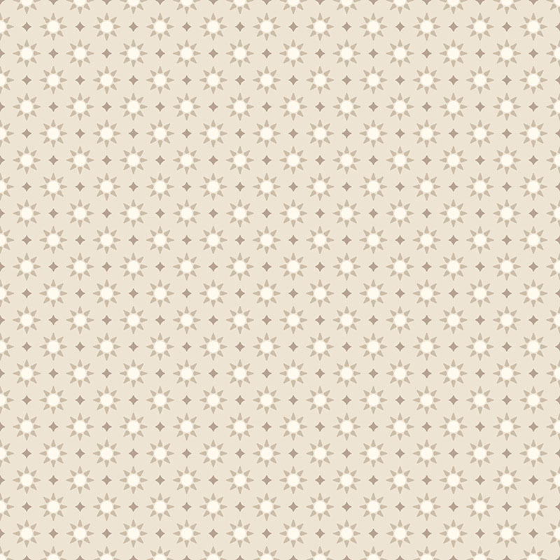 Shadow And Stone By Contempo Studio For Benartex - Stars Parchment