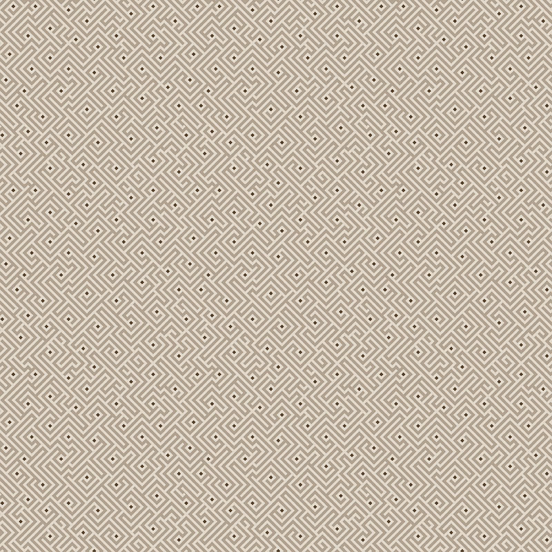 Shadow And Stone By Contempo Studio For Benartex - Maze Cappuccino