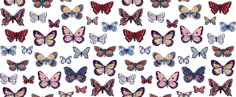 Flutterby By Janet Clare For Moda - Digital Print - Cabbage-White