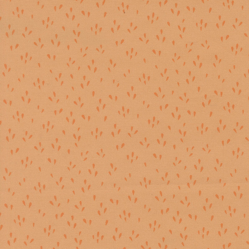 Fruitful By Kiley\'s Quilt Room For Moda - Digital Print - Cantaloupe
