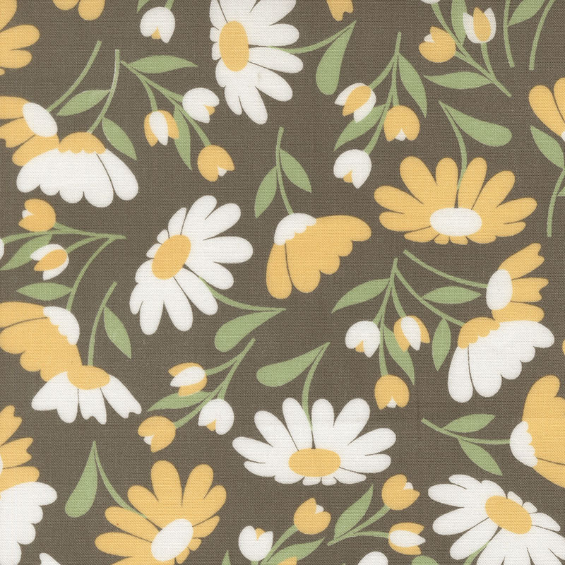 Sunroom By Coret Yoder For Moda - Charcoal