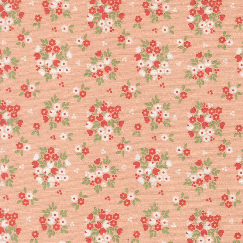 Sunroom By Coret Yoder For Moda - Peach