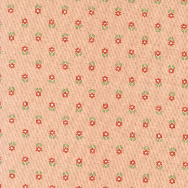 Sunroom By Coret Yoder For Moda - Peach