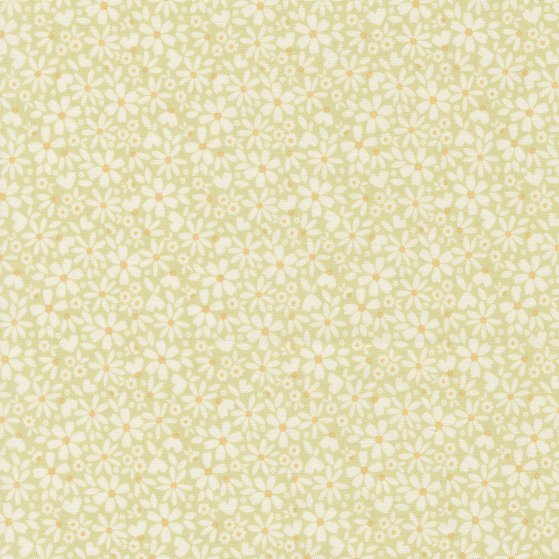 Dear Daisy By My Sew Quilty Life For Moda - Sprout