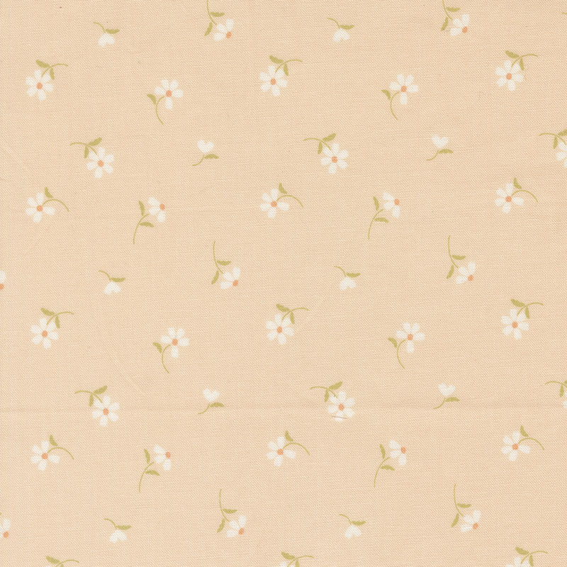 Dear Daisy By My Sew Quilty Life For Moda - Apricot