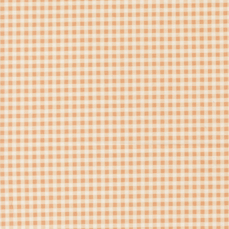 Dear Daisy By My Sew Quilty Life For Moda - Peach