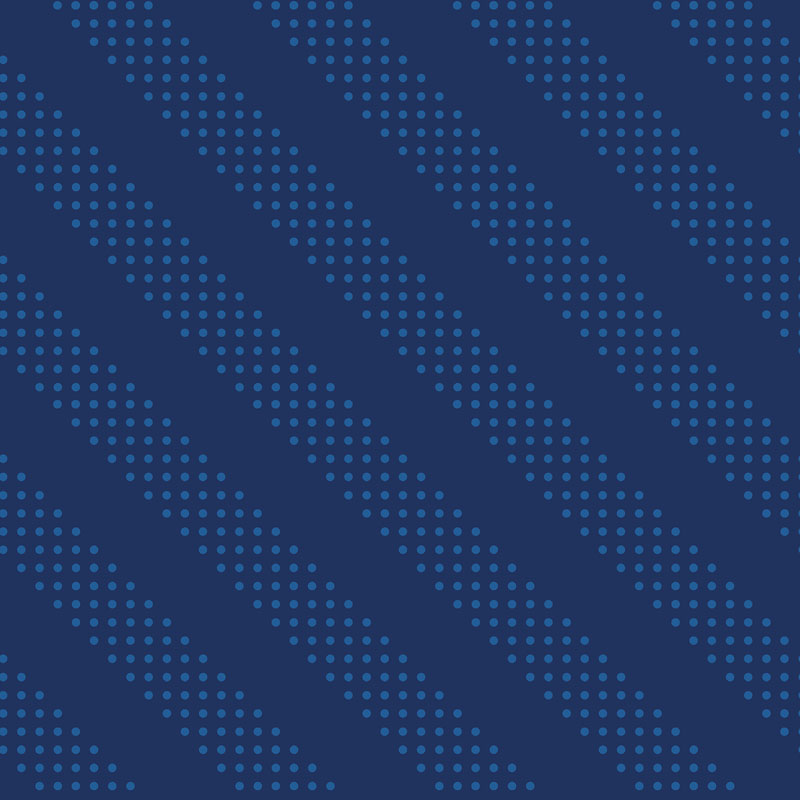 Sidekicks By Ruby Star Society For Moda - Navy