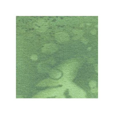 Fossil Fern By Benartex - Sage Brush
