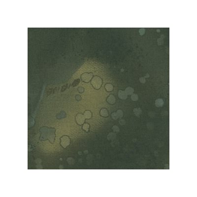 Fossil Fern By Benartex - Swamp Magic