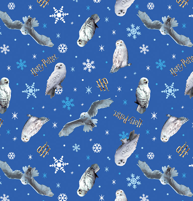 Harry Potter Winter Minkee 60" Wide By Warner Bros For Benartex - Medium Blue