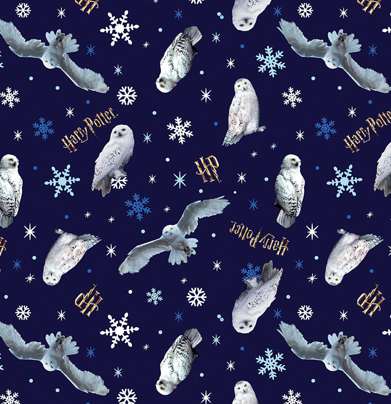 Harry Potter Winter Minkee 60" Wide By Warner Bros For Benartex - Navy
