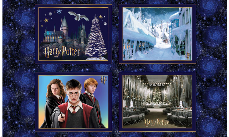 Harry Potter Winter Minkee 60" Wide By Warner Bros For Benartex - Blue