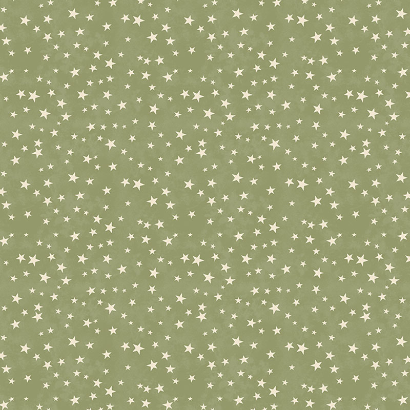 River Life By Belle Of Seams Sew Me For Benartex - Sage